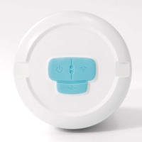 Анализатор воды Intex 28607 WiFi, отслеживание pH и ORP (уровень хлора)