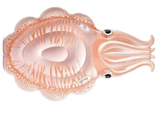 Надувной плот-матрас Intex 58731 Каракатица (191x117x30 см)