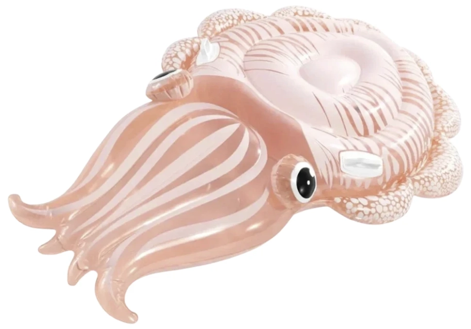 Надувной плот-матрас Intex 58731 Каракатица (191x117x30 см)